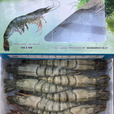 Tôm sú nguyên con sinh thái Seaprodex kích cỡ 8 con/hộp, 500gr