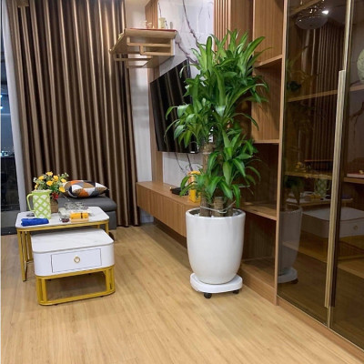 Đế Kê Chậu Cây, Đế Lót Chậu Cây Có Bánh Xe Di Chuyển Đa Năng Và Khay Hứng Nước Tiện Lợi