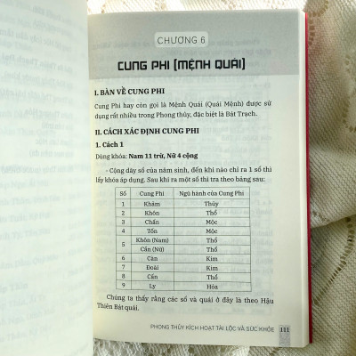 Sách - Phong thủy kích hoạt tài lộc và sức khỏe