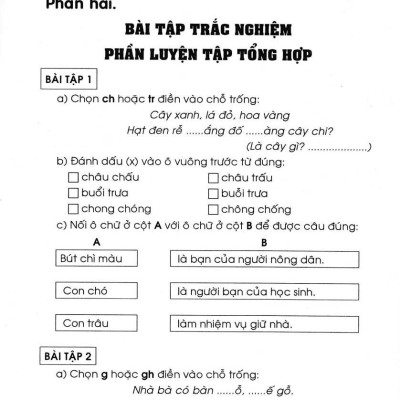 Bài Tập Trắc Nghiệm Tiếng Việt 1(Theo Chương Trình Tiểu Học Mới Định Hướng Phát Triển Năng Lực) ( Tái Bản)