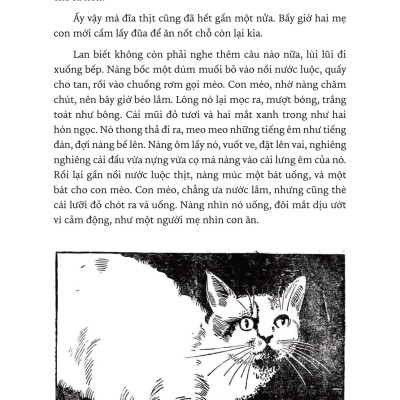 Con Mèo Mắt Ngọc - Tập Truyện Viết Cho Thiếu Nhi