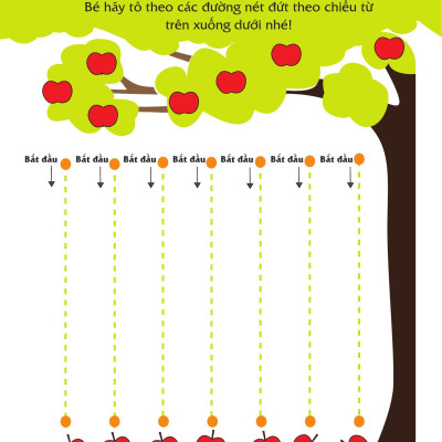 Sách - Rèn Luyện Kỹ Năng Cầm Bút Cho Trẻ - Tô Nét Cơ Bản