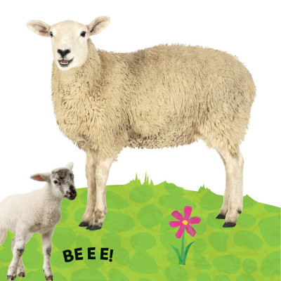 Sách To Ôm Sách Nhỏ - Động Vật Ở Nông Trại (Dành Cho Trẻ Từ 0-6 Tuổi)