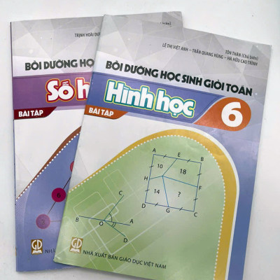 Combo: Sách Bồi dưỡng Học sinh giỏi Toán 6 (BT Đại số + Hình học)