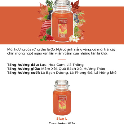 Nến hũ Yankee Candle size L - Autumn Leaves (623g)