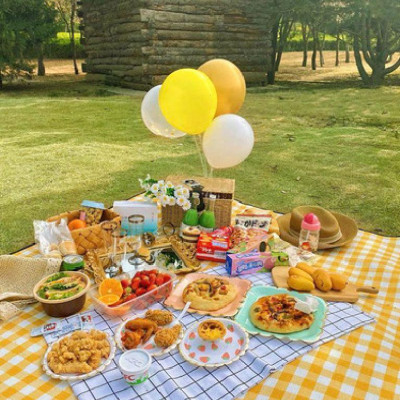 Thảm Dã Ngoại Picnic Hoạ Tiết Caro, Gấp Gọn Agnite - Thảm Cắm Trại, Đi Du Lịch, Đi Phượt, Chụp Ảnh