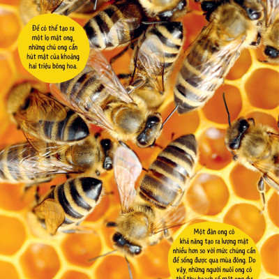 Bách Khoa Thư Britannica Dành Cho Trẻ Em - Cuốn Sách Khổng Lồ Giải Đáp 100++ Câu Hỏi Tại Sao Hóc Búa