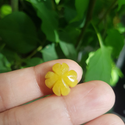 Trang sức phối vòng tay Bông Hoa Cỏ 4 Lá Đá cẩm thạch VÀNG ANH ĐẬM đẹp Size bông 14mm x 6mm x lỗ đk 2mm Nữ mệnh Kim Thổ Thủy phối với Vòng đeo tay, làm mặt dây chuyền, mặt nhẫn đeo ạ