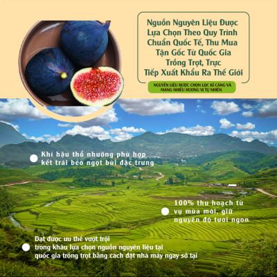 Quả sung khô 135g Dan D Pak