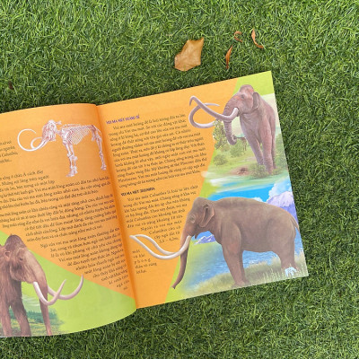 Bách Khoa Động Vật Dành Cho Trẻ Nhỏ - Động Vật Tiền Sử - ML