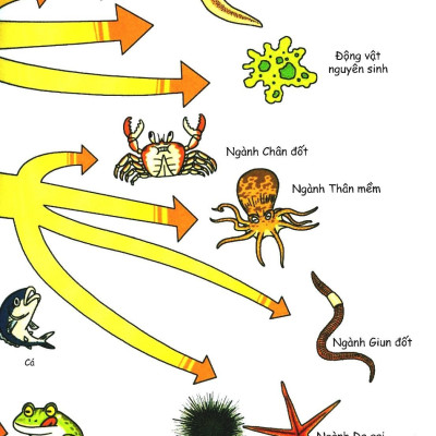Khám Phá Thế Giới Động Vật 10+