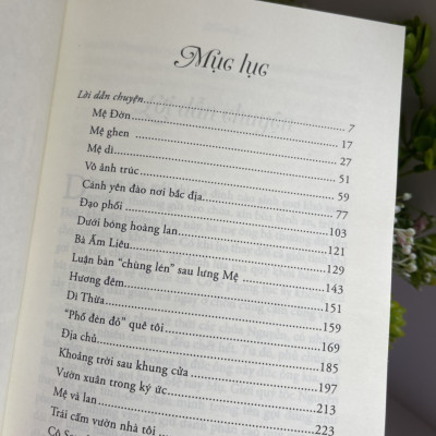 ĐỜI CỦA MỆ - Nguyễn Hữu Thông - Thiện Tri Thức - NXB Dân Trí