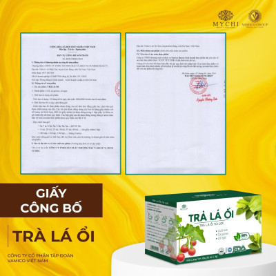 Giá Sỉ 5 hộp Trà Lá Ổi Mychi - giảm cân, Tiêu Mỡ, ngừa mỡ máu