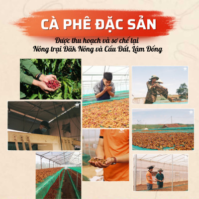 Cà Phê Decaf Robusta tách 97% cafeine vị đắng nhẹ, thơm thích hợp với người dùng cà phê bị mất ngủ hay say cafe từ Message Coffee - Gói 200 Gram - Nguyên Hạt
