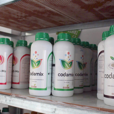 Codasal Premium- Phân bón lá nhập khẩu trực tiếp từ Tây Ban Nha (chai 1L)