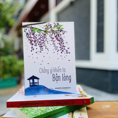 BỘ SÁCH "BẬN" ( Bạn Đang Bận Việc Gì Và Chẳng Gì Khiến Ta Bận Lòng ) - Sách Tôn Giáo, Nghệ Thuật Và Văn Hóa, Tác Giả KHENPO SODARGYE - Hiệu sách genbooks, bìa mềm, in màu