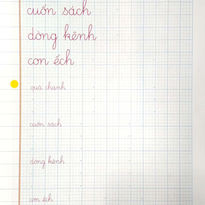 Vở Ô Ly Luyện Viết 1 - Hạ Cỡ Chữ - Theo Chuẩn Chương Trình Sách Giáo Khoa Mới - Bộ Sách Cánh Diều