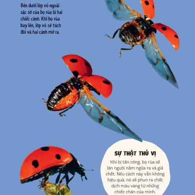 Bách Khoa Thư Britannica Dành Cho Trẻ Em - Cuốn Sách Khổng Lồ Giải Đáp 100++ Câu Hỏi Tại Sao Hóc Búa