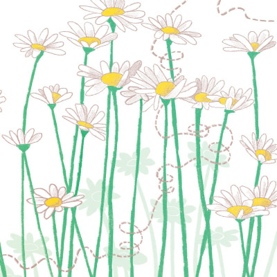 HIỆP SĨ BỌ RÙA VÀ NỮ CHÚA ONG | Corey R.Tabor | San Hô Books