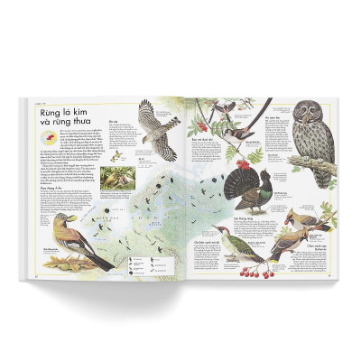 Sách - Atlas Các Loài Chim - Đông A