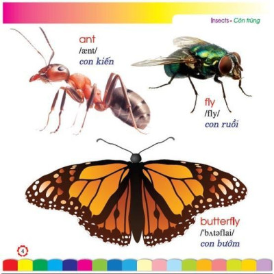 Sách - Em Học Tiếng Anh Qua Hình Ảnh - Côn Trùng - Hồng Ân