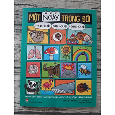 Một Ngày Trong Đời Của Con Lười, Con Ngươi Và Con Người