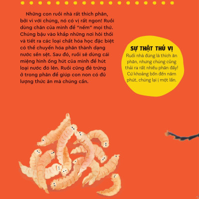 Bách Khoa Thư Britannica Dành Cho Trẻ Em - Cuốn Sách Khổng Lồ Giải Đáp 100++ Câu Hỏi Tại Sao Hóc Búa