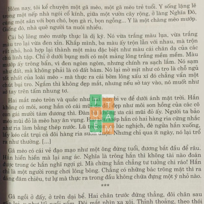 Sách - Ngữ liệu đọc hiểu mở rộng Ngữ Văn 6