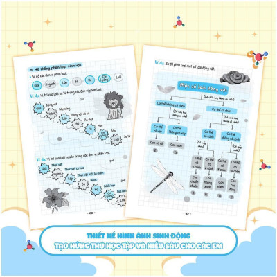 Sách - Sổ Tay Kiến Thức - Phương Pháp - Dạng Bài Khoa Học Tự Nhiên Lý - Hóa - Sinh Lớp 6 - Megabook