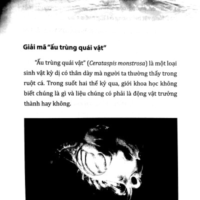 Tri Thức Bách Khoa - Sự Thật Về Những Điều Bí Ẩn