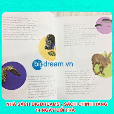 Sách - Khám Phá Thế Giới Động Vật Kì Thú - Thế giới của các thiên thần đáng yêu - Kiến thức bách khoa cho trẻ