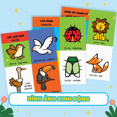 Sách - My First 100 Animals - Sách Từ Vựng Đầu Đời Cho Bé, 100 Động Vật Đầu Tiên - Megabook