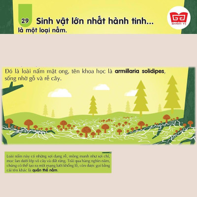Sách - 100 Bí Ẩn Đáng Kinh Ngạc Về Khoa Học - Đinh Tị Books