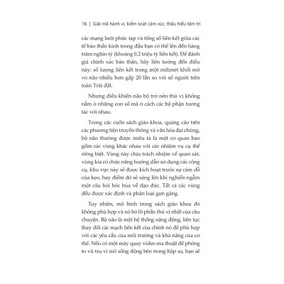 Giải Mã Hành Vi Kiểm Soát Cảm Xúc Thấu Hiểu Tâm Trí