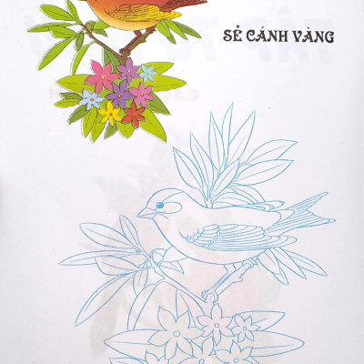 Tập Tô Màu - Các Loài Chim