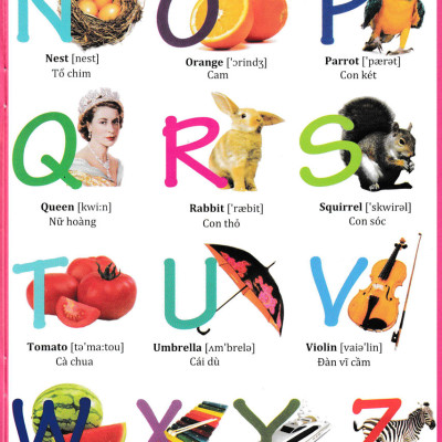 Từ Điển Anh Việt Bằng Hình Ảnh