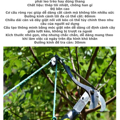 Kéo Tỉa Cành, Hái Quả Trên Cao Siêu Bén – Hàng Gia Công Cao Cấp, Cắt Mượt Mà