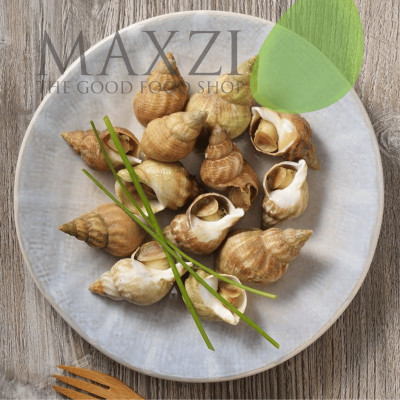 Ốc Xoắn Nấu Chín Ocean Gems 1kg - Maxzi