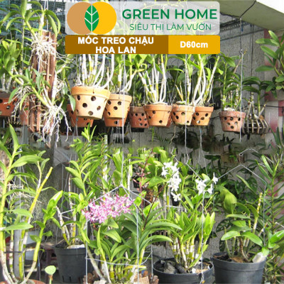 10 Móc Treo Chậu Lan Greenhome, D60Cm, Thiết Kế Tối Giản, Thẩm Mỹ, Treo Lan, Chậu Hoa, Dễ Sử Dụng