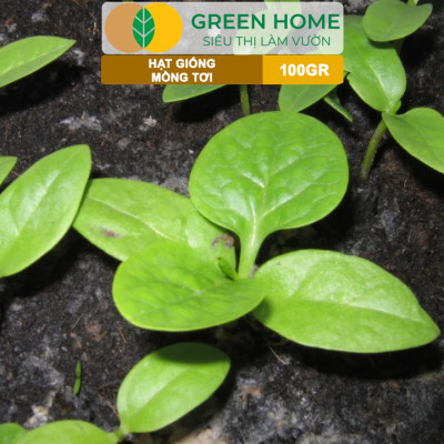 Hạt Giống Rau Mồng Tơi GreenHome, GÓI 100GR, Dễ Trồng Quanh Năm, Nảy Mầm Cao,Năng Suất Cao R30