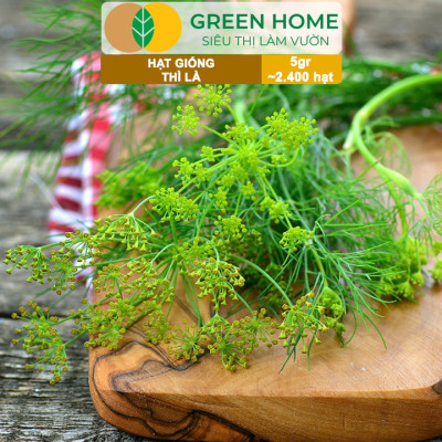 Hạt Giống Rau Thì Là Greenhome, Gói 5gr~2400 hạt, Dễ Trồng, Nảy Mầm Cao, Thu Hoạch Nhanh, Năng Suất Cao G11