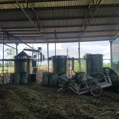 Tinh dầu sả chanh 50ml Mộc Mây - tinh dầu nguyên chất 100% từ thiên nhiên - chất lượng và mùi hương vượt trội