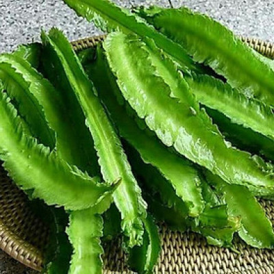 Hạt giống đậu rồng - đậu khế giống khỏe quả sai VTP43