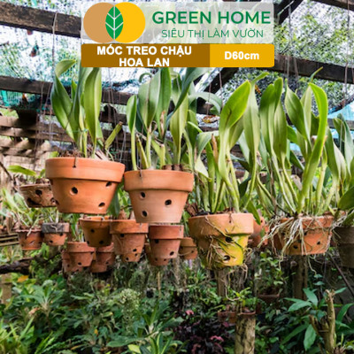 10 Móc Treo Chậu Lan Greenhome, D60Cm, Thiết Kế Tối Giản, Thẩm Mỹ, Treo Lan, Chậu Hoa, Dễ Sử Dụng