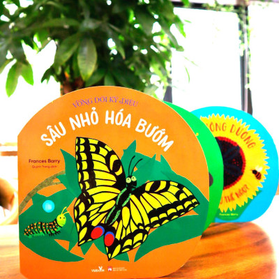 Vòng Đời Kỳ Diệu - Sâu Nhỏ Hóa Bướm