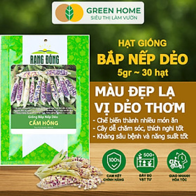 Hạt Giống Bắp Nếp Dẻo Cẩm Hồng, Greenhome, Gói 5GR~30 hạt, Dễ Trồng Quanh Năm, Nảy Mầm Cao, T31