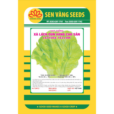 Hạt giống xà lách dún vàng cao sản giống to khỏe VTS39