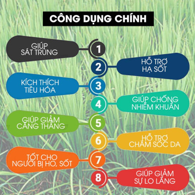 Tinh Dầu Sả Hoa Hồng Kobi Palmarosa Essential Oil Dùng Xông Phòng, Giúp Tăng Hưng Phấn, Thanh Lọc Không Khí Hiệu Quả - 5ml