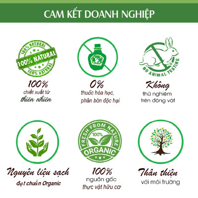 Tinh dầu Bưởi Da Xanh nguyên chất từ vỏ bưởi thiên nhiên, xông phòng, khử mùi, thơm phòng, đuổi muỗi - KingOil