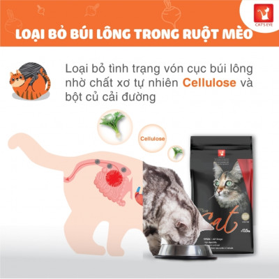 [1KG] - Thức ăn hạt cho mèo mọi lứa tuổi Tuổi Cat